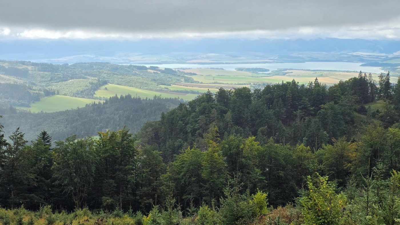Blick aus dem Wald auf die Liptovská Mara, Felder und Berge am Horizont
