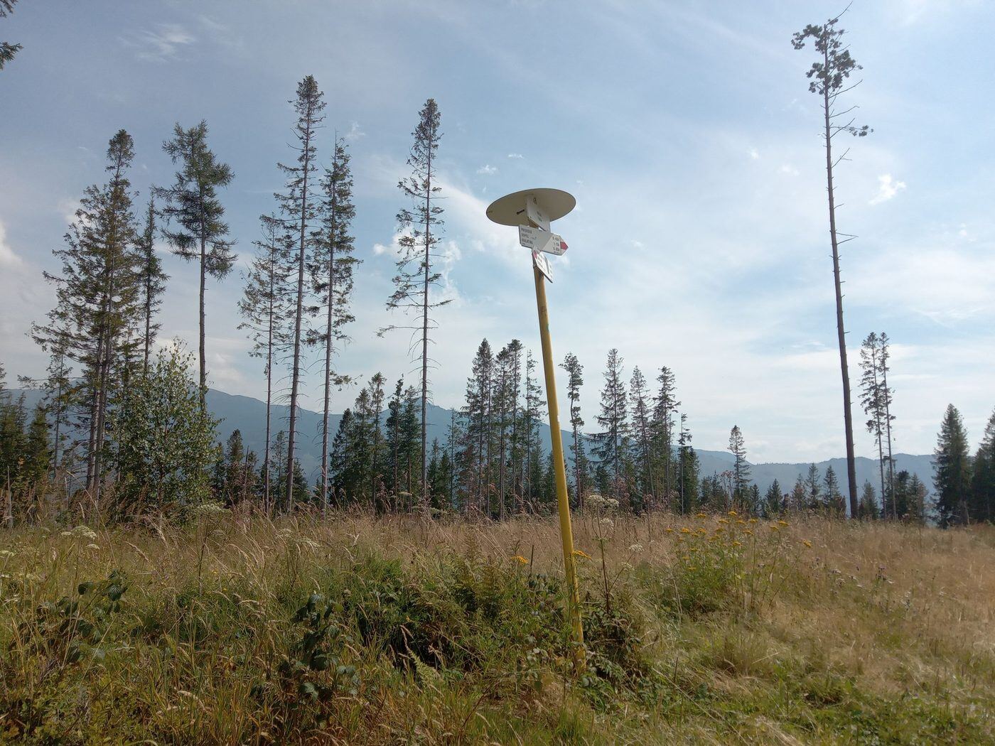 Mních