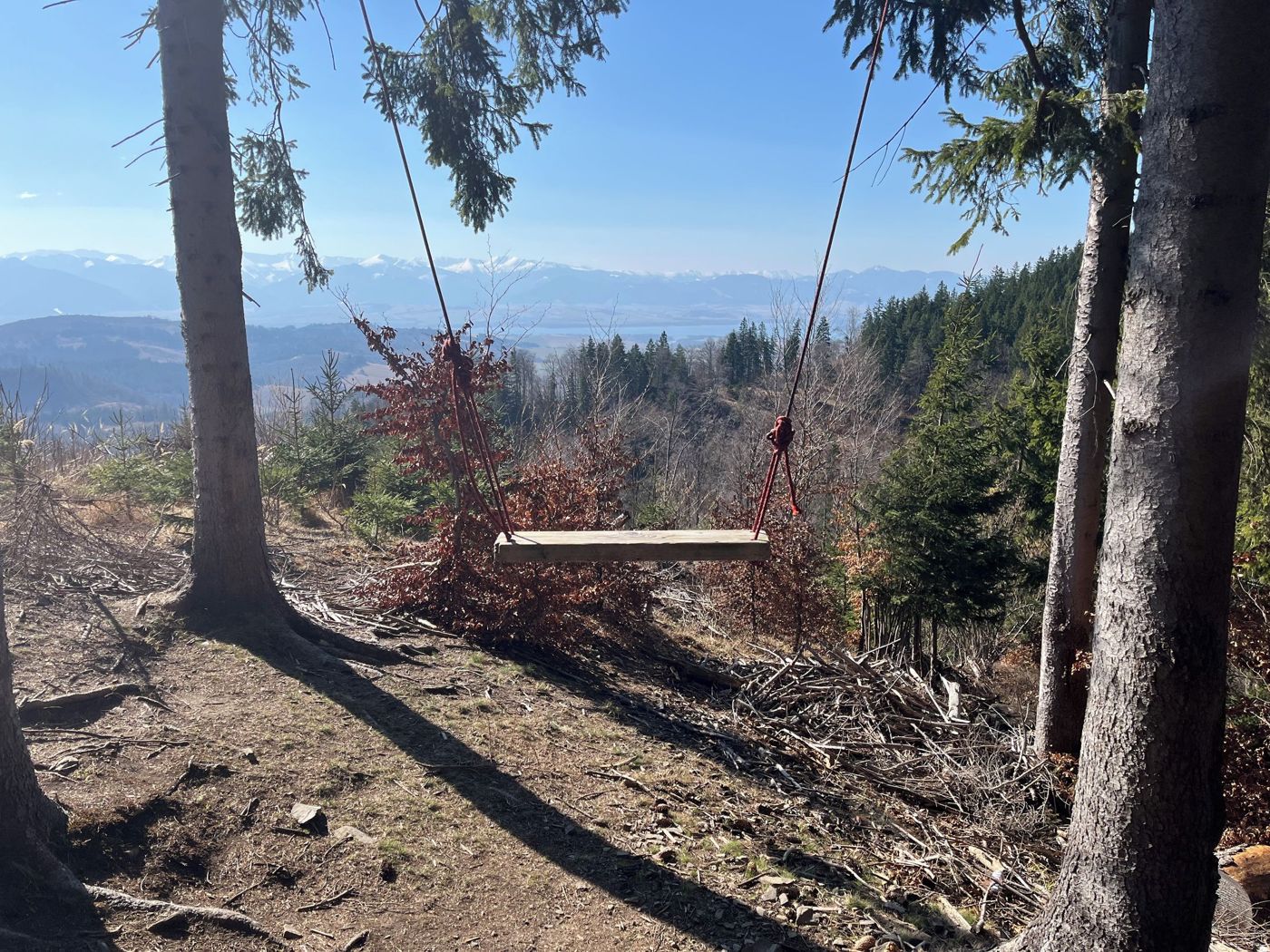 Wooden rope swing between spruces overlooking the valley and snowy mountains